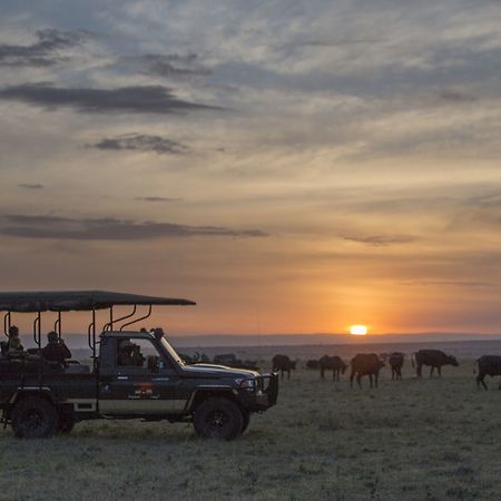Elephant Pepper Camp Maasai Mara Exterior foto
